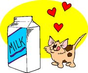tejérzékenység