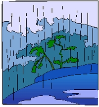 Rain-2.jpg