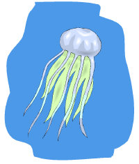 Medúza.jpg