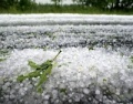 Bélyegkép a 2012. február 28., 13:28-kori változatról